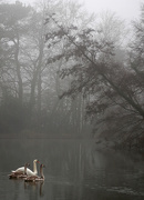 10th Jan 2013 - Farnborough in the fog
