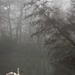 Farnborough in the fog by jantan