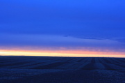 10th Jan 2013 - Blue sunset