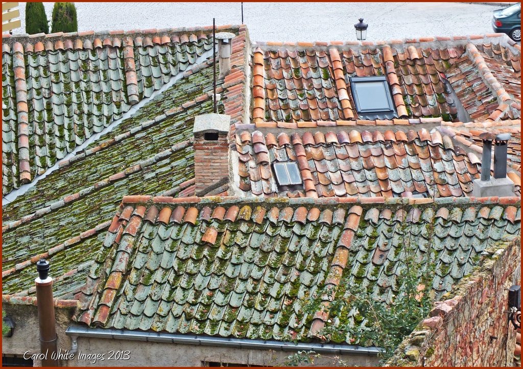 Rooftops by carolmw