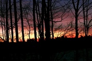 11th Jan 2013 - Sunrise Snow Field