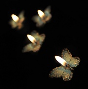 27th Jul 2010 - butterfly candles