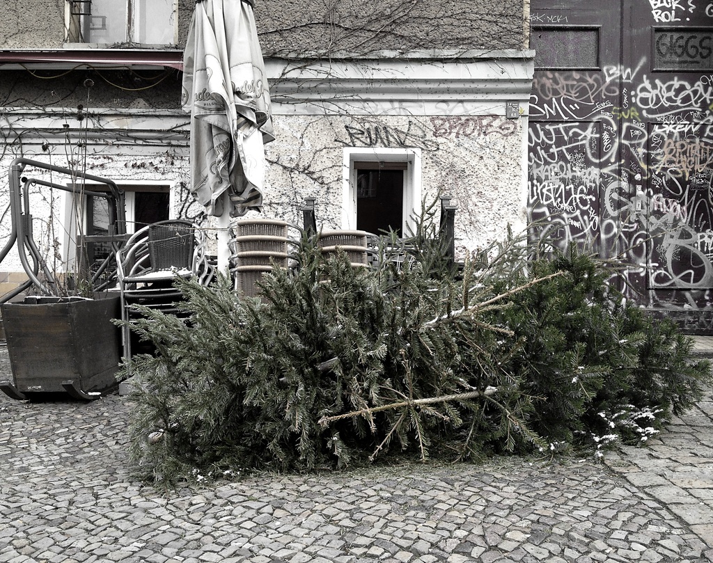 Abandoned Christmas Trees... by cityflash