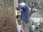 7th Jan 2013 - Spring Cleaning the Bird boxes