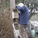 Spring Cleaning the Bird boxes by jennymdennis