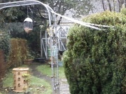 8th Jan 2013 - New bird feeder put up!