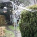 New bird feeder put up! by jennymdennis