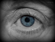 11th Jan 2013 - Eye watching you!
