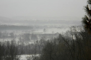 11th Jan 2013 - Fog in the afternoon