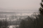 11th Jan 2013 - Fog in the afternoon 2
