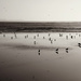Gull Beach. by jgoldrup