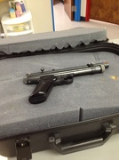 11th Jan 2013 - Tranquilizer gun for Tiny
