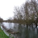 River Avon Salisbury week one by barrowlane