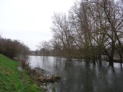 10th Jan 2013 - River Avon Salisbury week two - 10-1