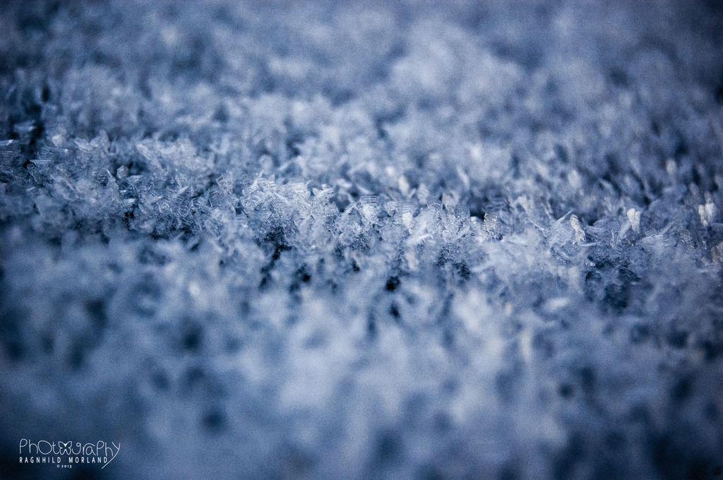 Twinkle Twinkle Little Frost by ragnhildmorland