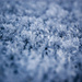 Twinkle Twinkle Little Frost by ragnhildmorland