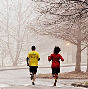 12th Jan 2013 - Foggy Morning Run