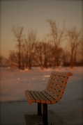 11th Jan 2013 - It has been a while since I photographed one of my favorite subjects, benches.
