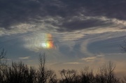 12th Jan 2013 - Bright spot