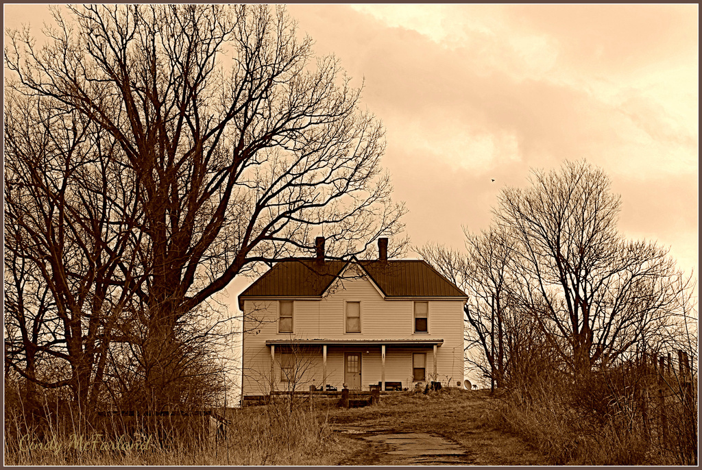 Abandoned House on the Hill by cindymc