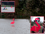 13th Jan 2013 - Spanish Town Mardi Gras Flamingos