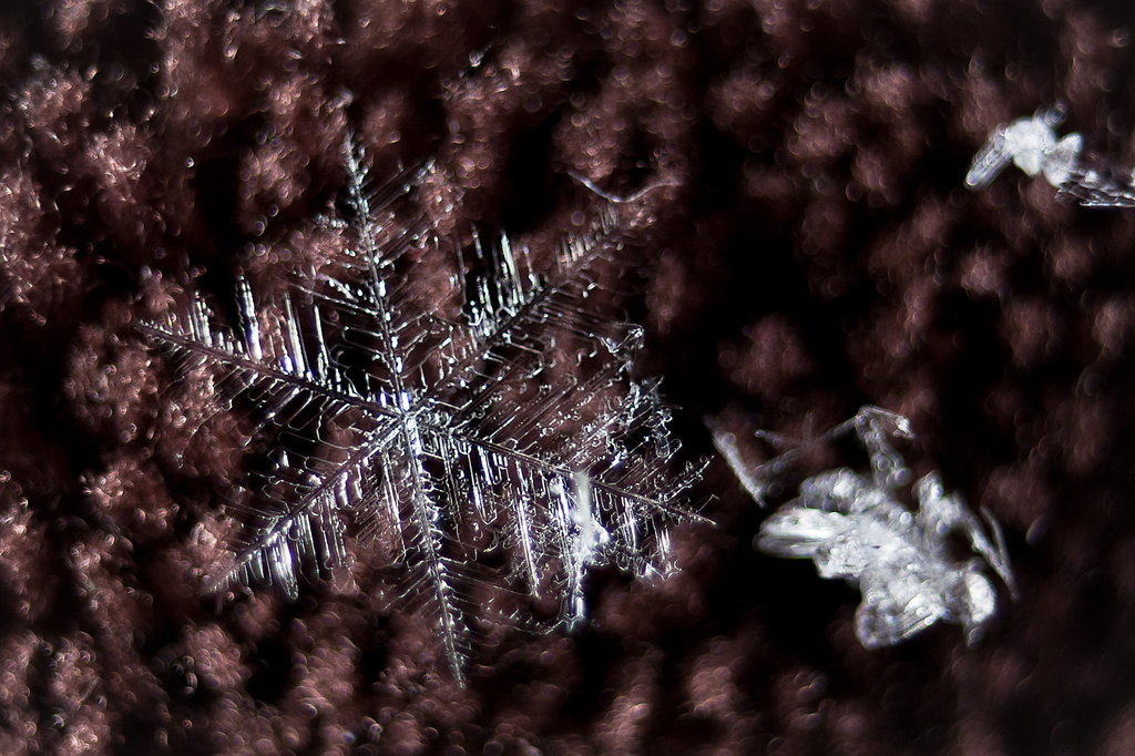 Snowflake by kiwichick