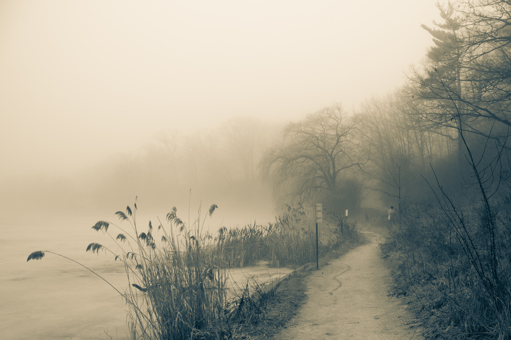 RAW mist... by northy