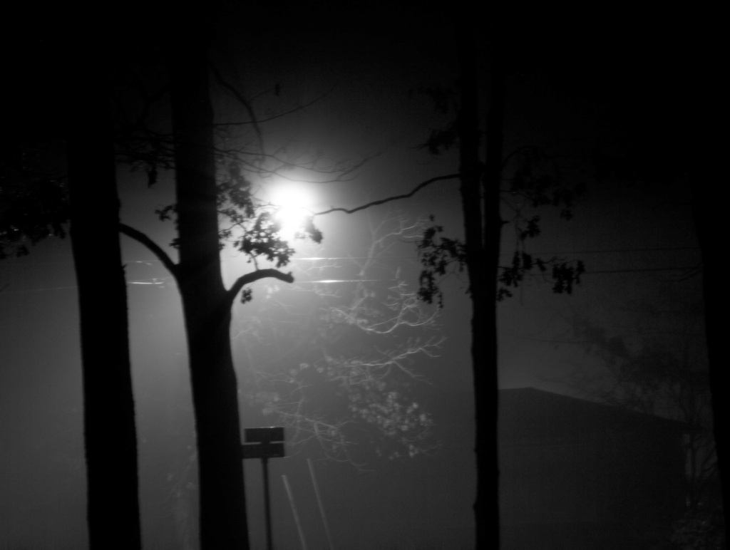 Foggy Night by hjbenson