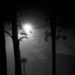 Foggy Night by hjbenson