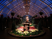 5th Jan 2013 - Phipps Conservatory