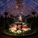 Phipps Conservatory by steelcityfox