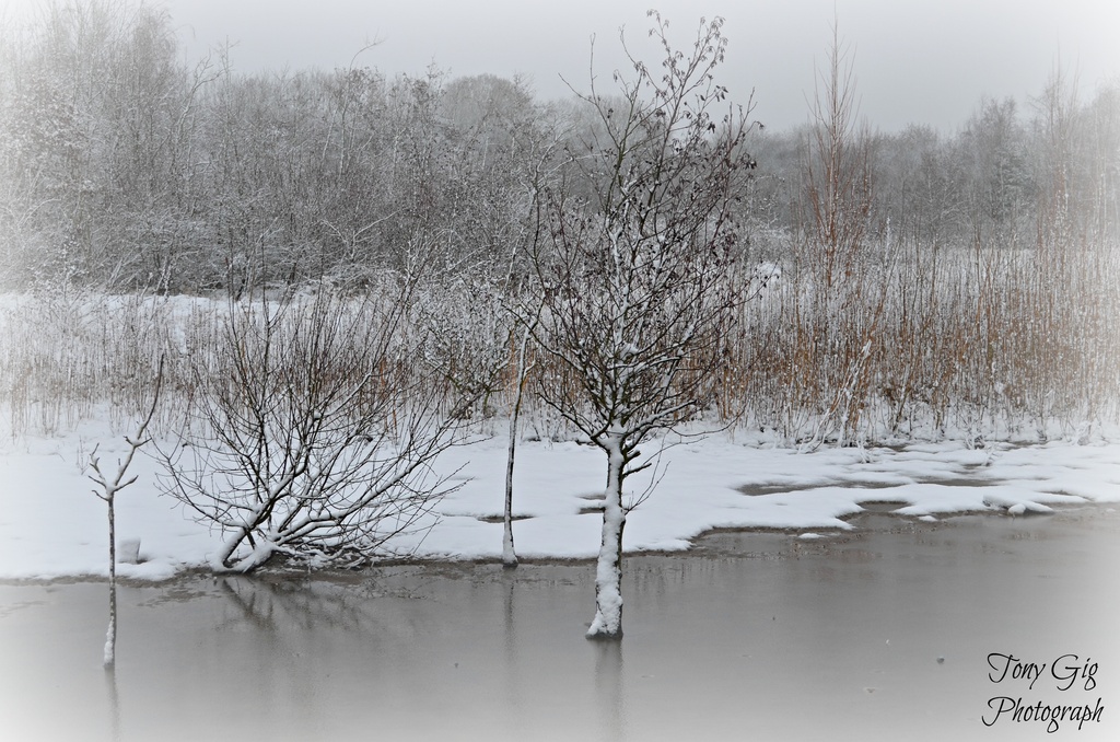 Snow & Ice by tonygig