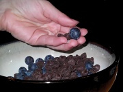 28th Jul 2010 - Chocolate and Blueberries