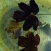 Leaves on water - 14-1 by barrowlane