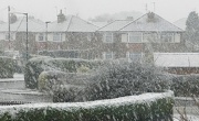 14th Jan 2013 - And then the snow came!