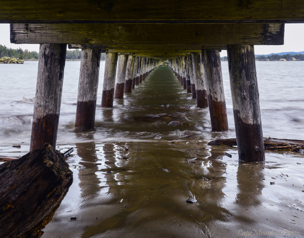 Under the Winchester Bay Dock by jgpittenger