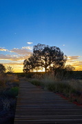 15th Jan 2013 - Sunset in Ayers Rock
