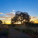 Sunset in Ayers Rock by cocobella