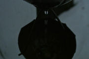 14th Jan 2013 - Water Drop 2