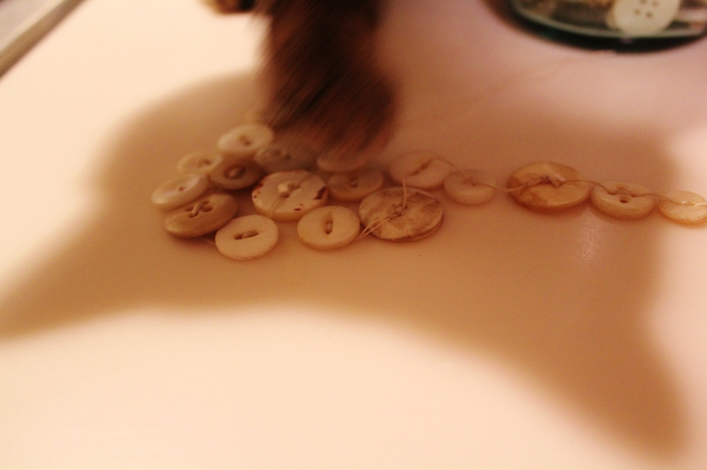 Cat buttons! by edorreandresen