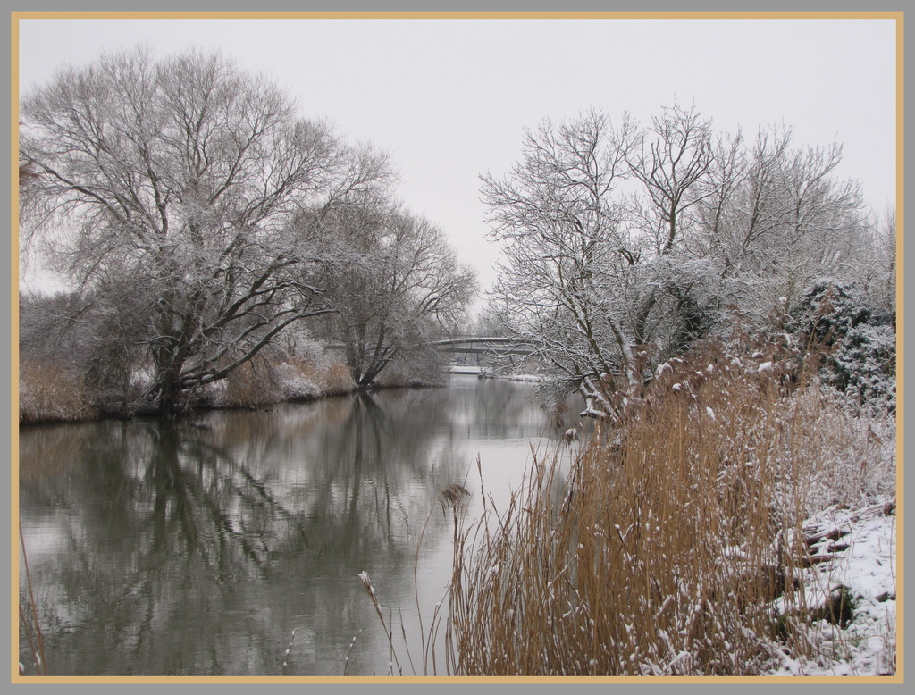 Wintry reflections by busylady