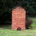 Dressing Up The Outhouse by digitalrn