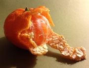 16th Jan 2013 - Tangerine