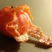 Tangerine by handmade