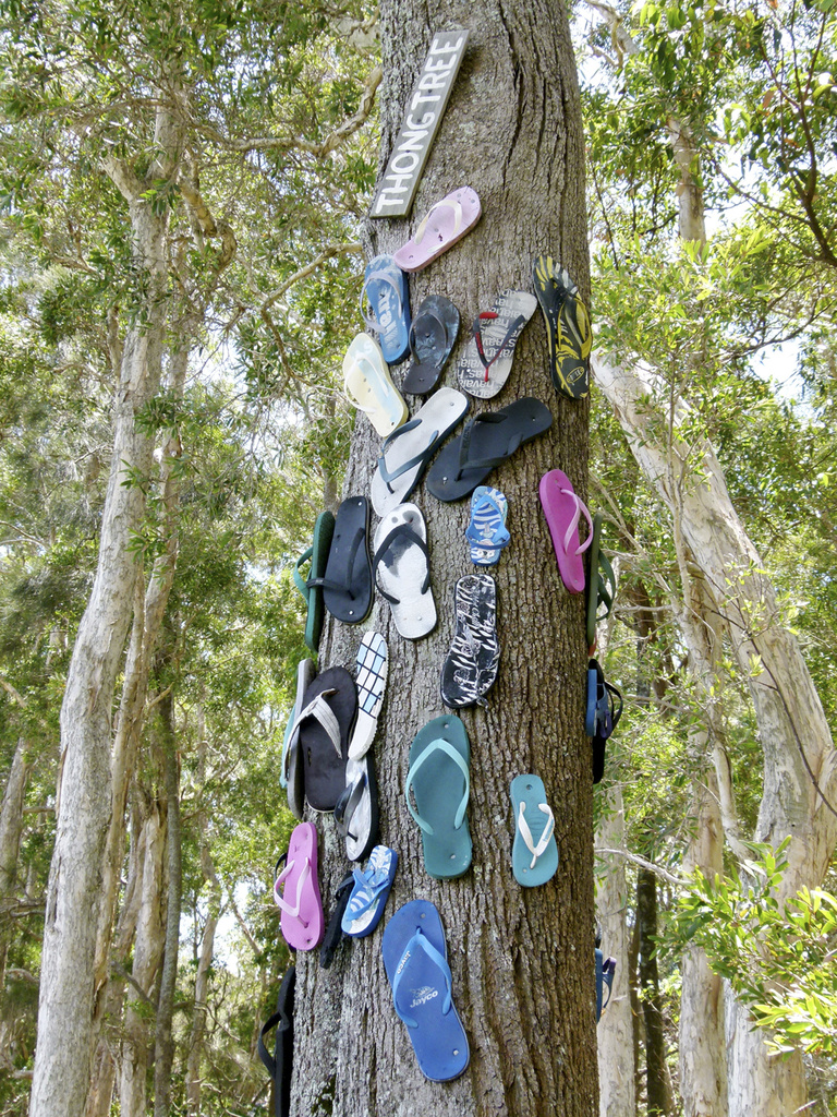 Thong tree (flip flops) by onewing
