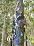 16th Jan 2013 - Thong tree (flip flops)