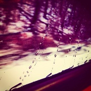 16th Jan 2013 - Rain on window pane.