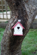 16th Jan 2013 - bird house