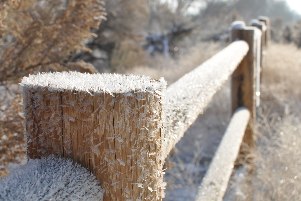 Frosted Split Rail  by pflaume