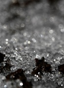 17th Jan 2013 - Iced Jewels And Bokeh In The Raw